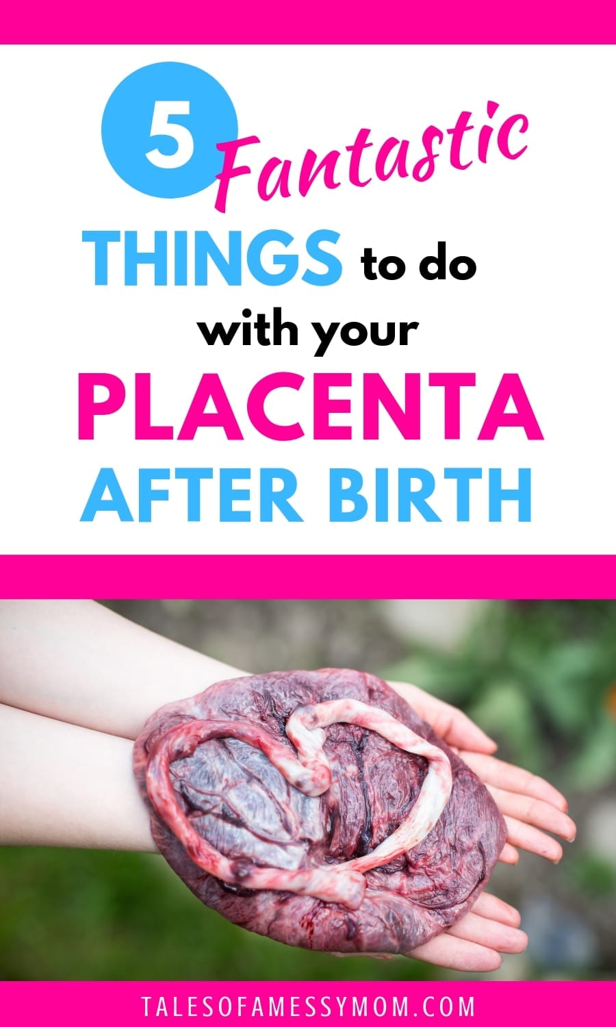 5 Fantastic Things to Do with Your Placenta Instead of Toss It Tales